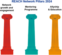 REACH network pillars - network growth and engagement, mentoring programme, allyship and education