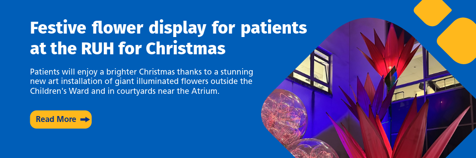 It’s a bright and blooming brilliant Christmas at the RUH - click to read more