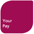 Your Pay