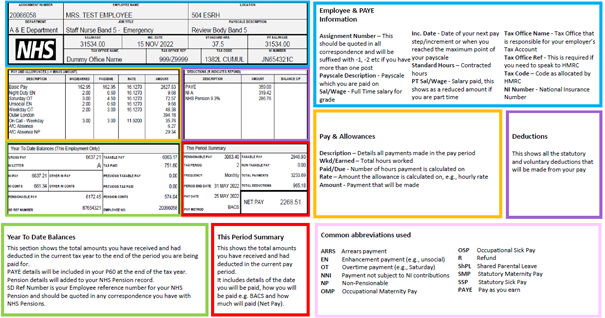 Screenshot of a staff payslip - click to open as a PDF document
